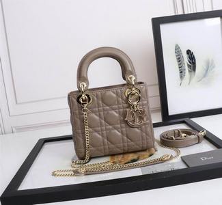 DIOR Handbags 383